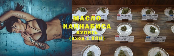индика Бородино