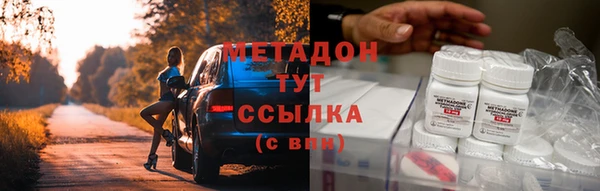 индика Бородино