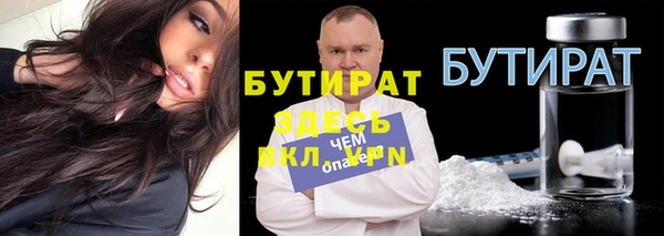 индика Бородино