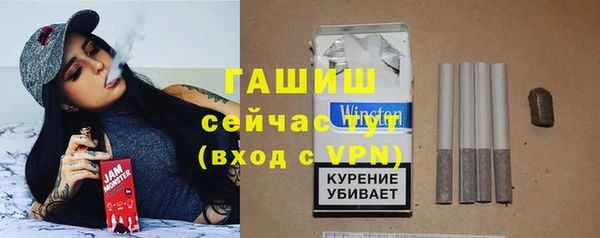 индика Бородино