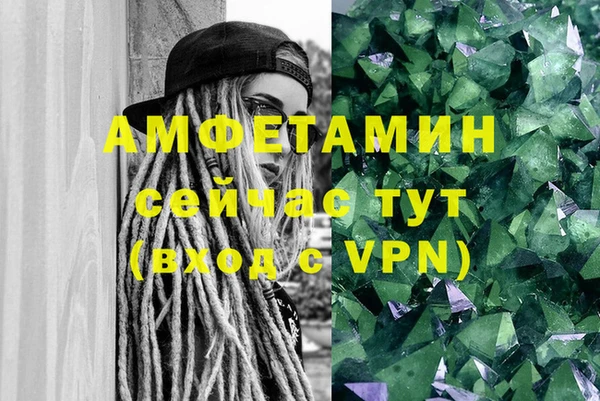 индика Бородино