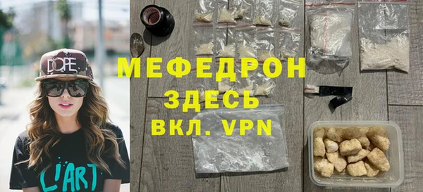 индика Бородино