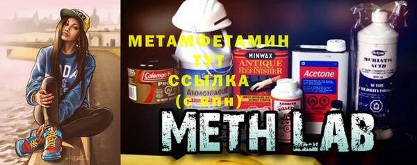 индика Бородино