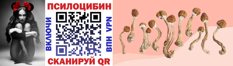 Псилоцибиновые грибы мухоморы  Купить  Ревда 